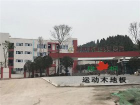 成都市简阳金玉小学篮球馆木地板